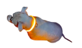 pomaranczowa-removebg-preview.png